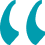 review icon